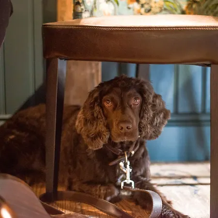 Estalagem The Swan At Grasmere- The Collection Group Grasmere