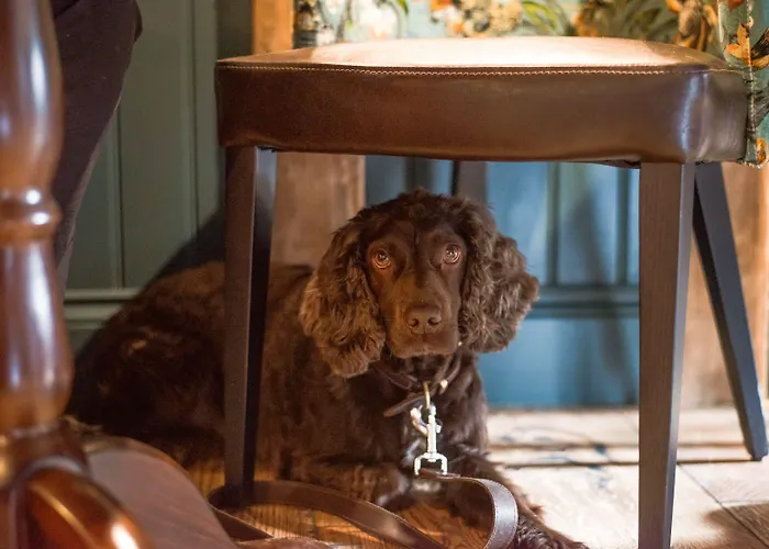 Inn The Swan At Grasmere- The Collection Group Grasmere